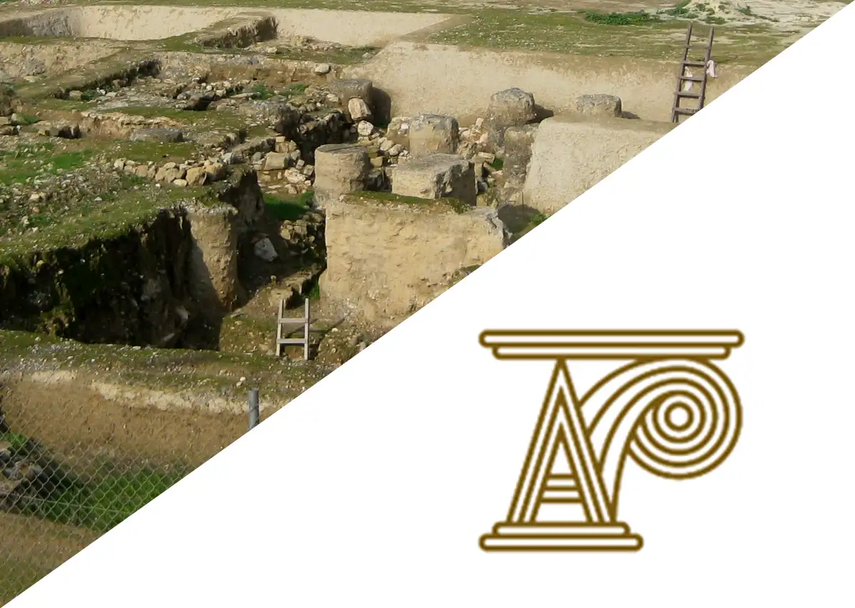 Department of Antiquities Cyprus